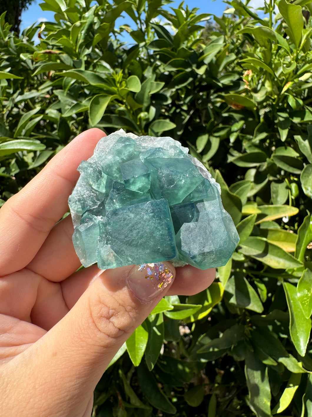 Green Cubic Fluorite fluorite cluster,Mineral Specimen B