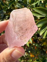 Load image into Gallery viewer, 2pcs Natural Rose Quartz with Unique Tree
