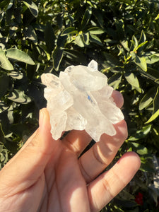 Clear Quartz Crystal Cluster