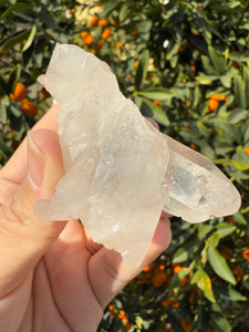 On Sale!Raw Clear Quartz Cluster,#S13