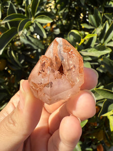 Red Mud Skeletal Quartz Crystal Point ,Petroleum Oil Quartz,#01