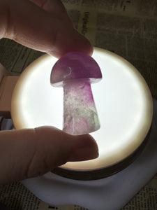 Mini Fluorite Mushroom Carving-1.43in