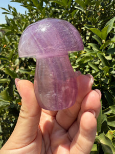 Large Natural Purple Fluorite Mushroom Crystal | Fluorite Mushroom Sculpture