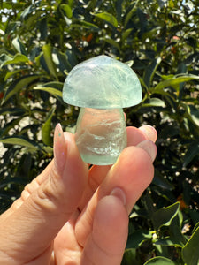 Small Green Fluorite Mushroom Carving-Fluorite Gemstone Mushroom,A140