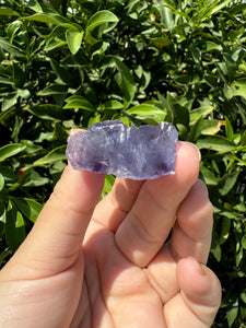 Mini Purple Cubic Fluorite Cluster,Mineral Specimen