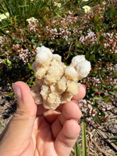 Load image into Gallery viewer, Botryoidal Druzy Calcite UV Reactive Phosphorescent Crystal Cluster,A465
