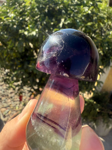 Dark Purple Green Fluorite Mushroom