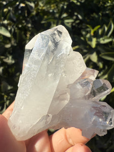 Clear Quartz Crystal Cluster