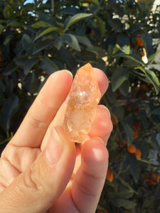 Red Mud Skeletal Quartz Crystal Point ,Red Mud Quartz ,#979