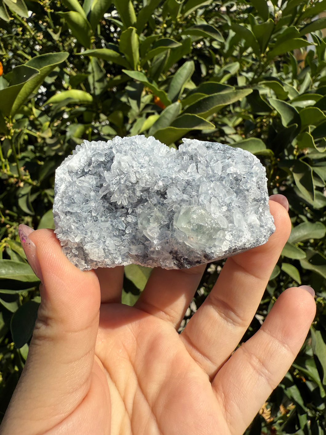 Bright clear Fluorite with Druzy Quartz on matrix, Fluorite on Quartz
