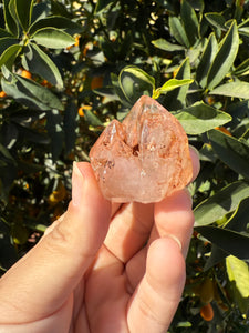 Red Mud Skeletal Quartz Crystal Point ,Petroleum Oil Quartz,#01