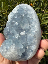 Load image into Gallery viewer, Celestite Geode Egg – Raw Celestine for Calming Energy,A57
