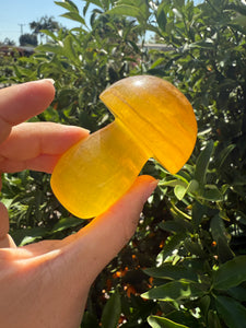 Large Natural Yellow Fluorite Mushroom Crystal, A83