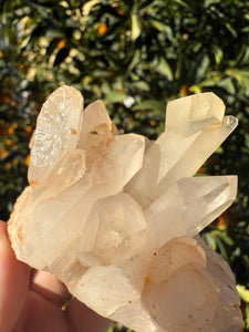 On Sale!Raw Clear Quartz Cluster,141.3g