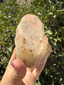 Natural Pineapple Quartz Cluster, Madagascar Candle Quartz, A94