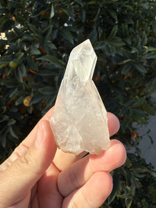 Clear Quartz Crystal Cluster #21