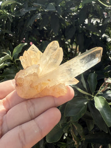 Small Raw Clear Quartz Cluster,96g