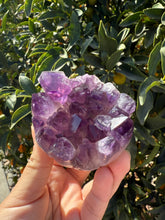 Load image into Gallery viewer, Natural amethyst geode, Crystal geode,Amethyst cluster
