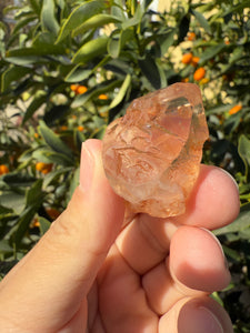 Red Mud Skeletal Quartz Crystal Point ,Red Mud Quartz,#986