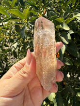 Load image into Gallery viewer, Trigonic Enhydro Quartz from Madagascar,Crystal Point with Water Inclusion,A99

