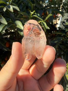 Red Mud Skeletal Quartz Crystal Point ,Red Mud Quartz ,#980