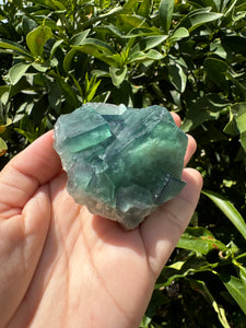 Green Cubic Fluorite fluorite cluster, fluorite Mineral Specimen D