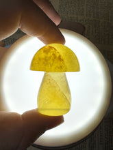 Load image into Gallery viewer, Small Fluorite Mushroom Carving-D 1.73in
