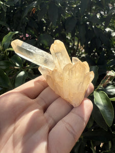 Small Raw Clear Quartz Cluster,96g