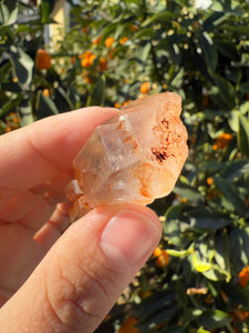 Red Mud Skeletal Quartz Crystal Point ,Red Mud Quartz ,#984