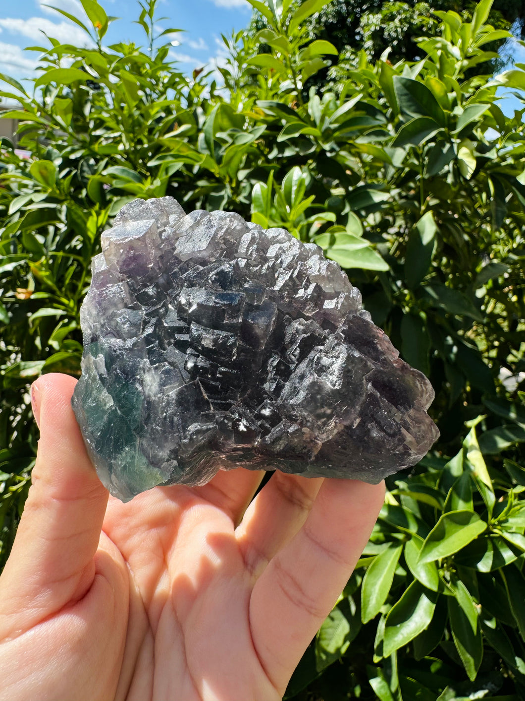 Raw stone Purple Green Cubic Fluorite,Mineral Specimen