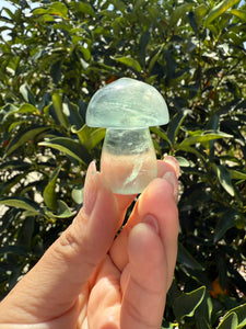 Small Green Fluorite Mushroom Carving-Fluorite Gemstone Mushroom,A140