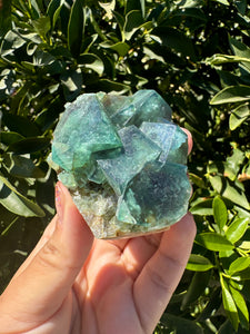 Green Cubic Fluorite Cluster, Fluorite Mineral Specimen C