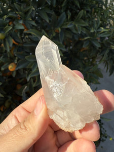 Clear Quartz Crystal Cluster #21