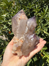 Load image into Gallery viewer, Double Enhydro Amethyst Cluster – Natural Water Bubble Quartz, A47
