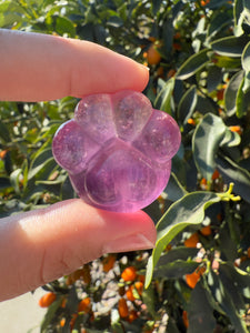 Large Pink Fluorite Paw