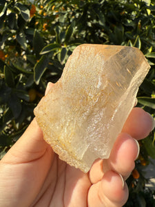 Raw Himalayan Quartz Crystal with Unique Natural Patterns