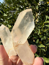 Load image into Gallery viewer, Clear Quartz Crystal Cluster,Natural Mineral Specimen,Raw Cluster,A244
