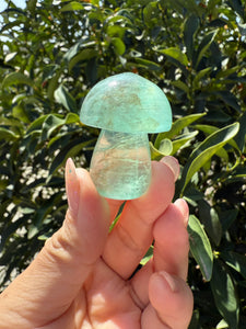 Small Green Kelp Fluorite Mushroom Carving-Fluorite Gemstone Mushroom,A139