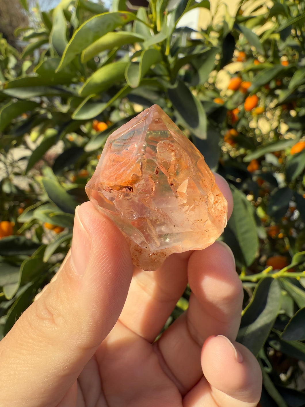 Red Mud Skeletal Quartz Crystal Point ,Red Mud Quartz,#986