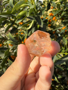 Red Mud Skeletal Quartz Crystal Point ,Red Mud Quartz,#986