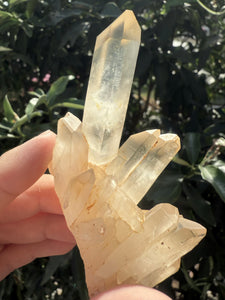 Small Raw Clear Quartz Cluster,96g