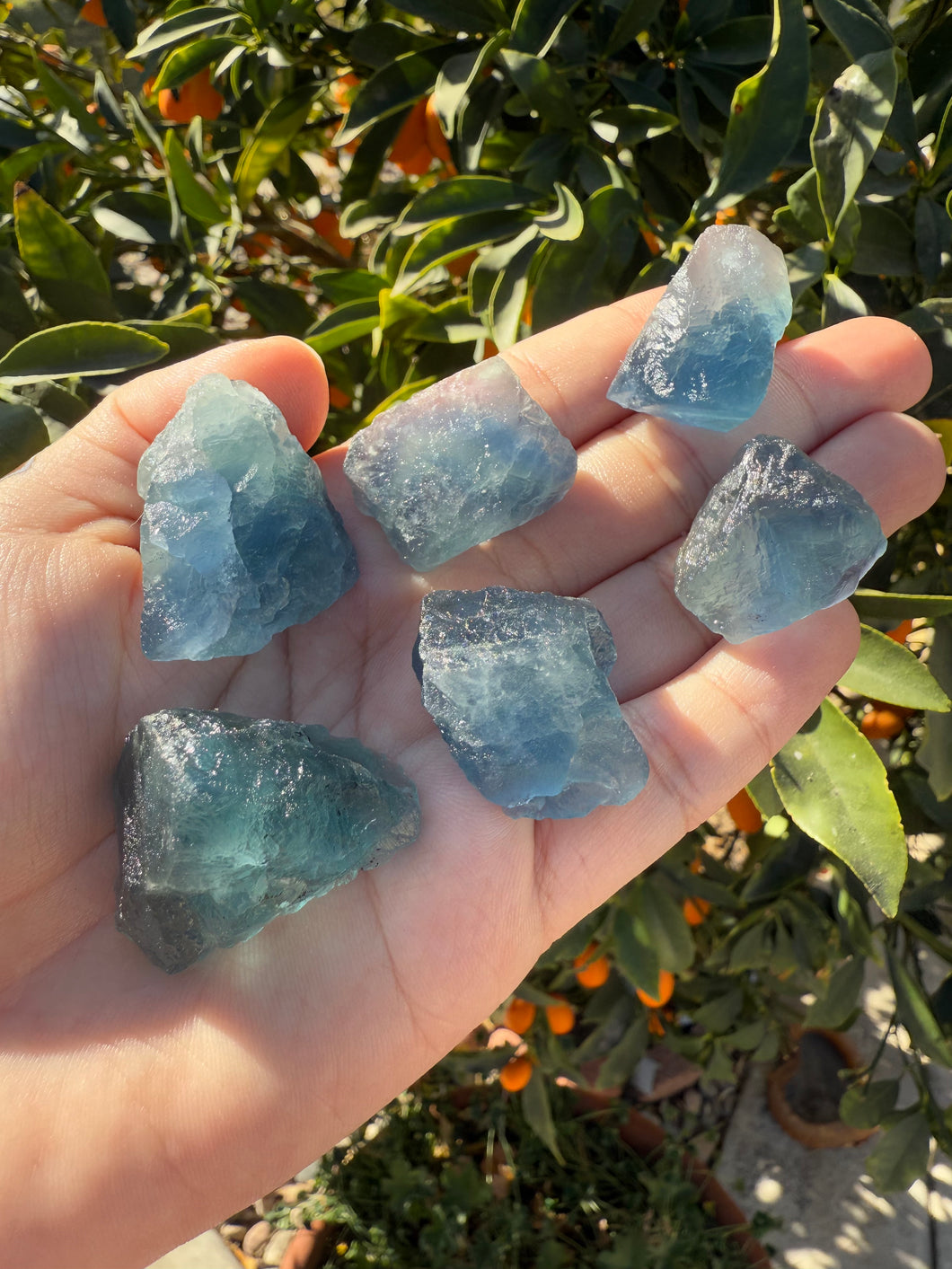 6pcs Fluorite Crystal Rough Bulk,High Quality Blue Fluorite