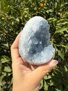 Celestite Geode Egg – Raw Celestine for Calming Energy,A57