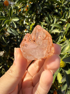 Red Mud Skeletal Quartz Crystal Point ,Petroleum Oil Quartz,#01