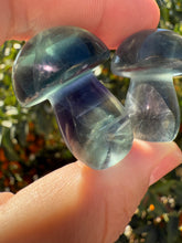 Load image into Gallery viewer, 2pcs Mini Blue Fluorite Mushroom Carving
