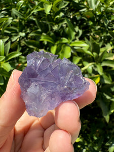 Mini Purple Cubic Fluorite Cluster,Mineral Specimen