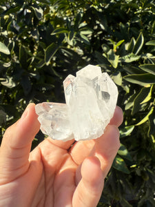 Clear Quartz Crystal Cluster