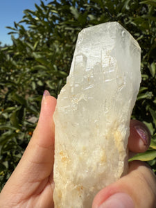 Large Natural Clear Quartz Crystal Point, Raw White Quartz Tower, A87