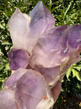 Load image into Gallery viewer, Amethyst Quartz Cluster,Amethyst Cluster Point Reiki Healing Decor,A45
