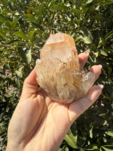Load image into Gallery viewer, Natural Pineapple Quartz Cluster, Madagascar Candle Quartz, A94

